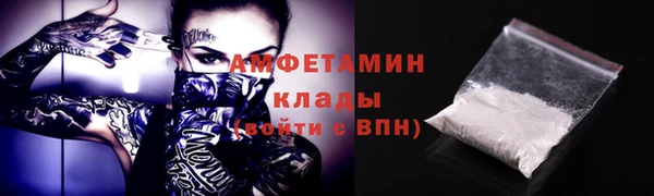 метадон Алексин