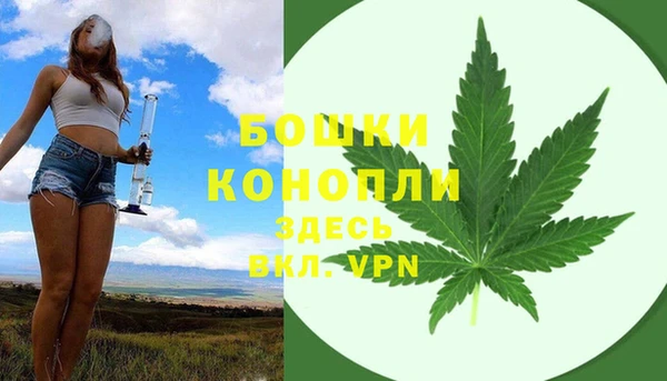 индика Зеленокумск